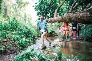 BIB: 
                            <button type="button" onclick="openModal(25516213)" class="btn btn-primary btn-sm float-right btn-popup" data-toggle="modal" data-target=".modal-high-quality">
                        <i class="fas fa-shopping-cart"></i> Add to Cart
                    </button>
                                            <button type="button" onclick="isThisMe(25516213, true)" class="btn btn-success btn-sm float-right btn-popup btn-isme hidden" data-toggle="tooltip" data-placement="bottom" title="นี่คือรูปของคุณใช่ไหม คลิกที่นี่เพื่อเอาเข้าอัลบั้ม">
                        <i class="fas fa-plus"></i> Add to album
                    </button>
                    <button type="button" onclick="isThisMe(25516213, false)" class="btn btn-warning btn-sm float-right btn-popup btn-isnotme hidden">
                        <i class="fas fa-ban"></i> Remove from album
                    </button>